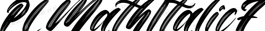 PLMathItalic7 Italic字体转换
